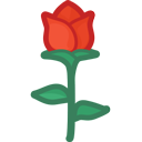 $[经典表情]::(玫瑰)